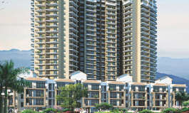 signature-global signum 71